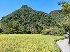 -靖西鹅泉风景区