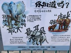 -保定市动物园