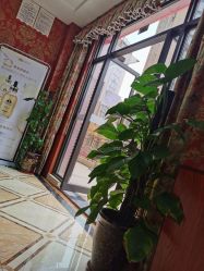 -OBN欧碧奴美容连锁