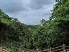 -广州市帽峰山景区