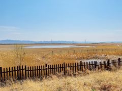 -野鸭湖国家湿地公园