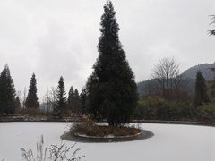 -武陵山森林公园