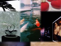 -罗红摄影艺术馆