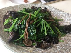 -新粤新疆菜清真餐厅(拱北店)