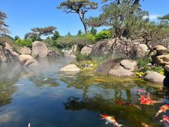 -罗红摄影艺术馆