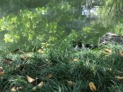 -杭州植物园