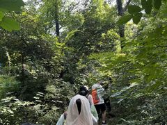 -青龙山国家森林公园
