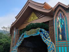 -西双版纳原始森林公园