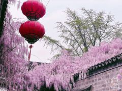 -老门东历史文化街区