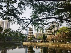 -宝岛公园