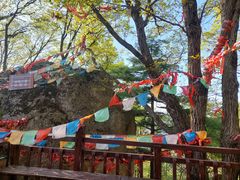 -陕西省红河谷森林公园