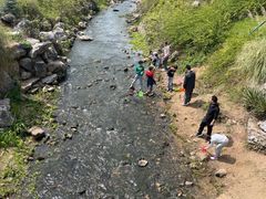 -羊山湖公园