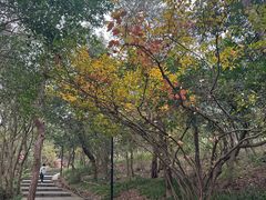 -虞山风景区