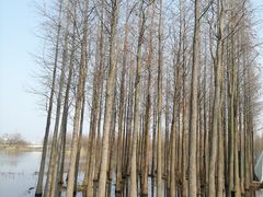 -艾溪湖湿地公园
