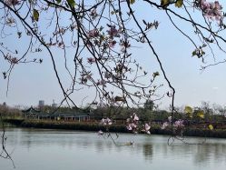 -广州美莱医疗美容医院