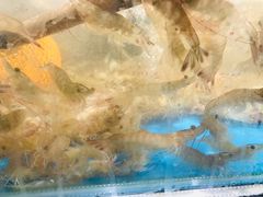 -盒马鲜生(曜一城店)