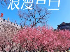 -北京明城墙遗址公园