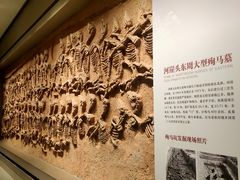-齐文化博物馆