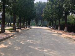 -北戴河集发农业梦想王国