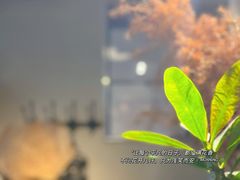 -一号铺子·大炉茶