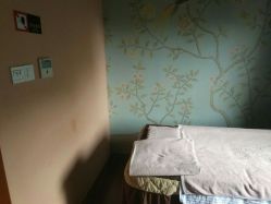 -虎杖传说·还元生活馆