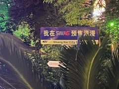 -SWAG·日咖夜酒·城市露营