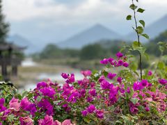 -古堰画乡景区