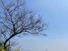 -广州市白云山风景名胜区