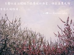 -木渎影视城