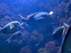 -海合安青岛极地海洋公园