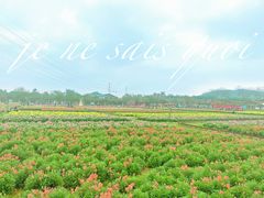-盈香心动乐园