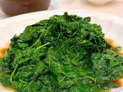 酒香金花菜-得月楼·省级非遗·传统苏帮菜(观前店)