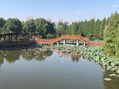 -鸿运酒楼