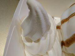 -狐狸和向日葵(北京路店)