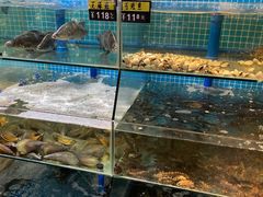 水产区-老巴刹新加坡餐厅