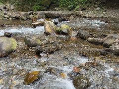 -西岭雪山大飞水景区