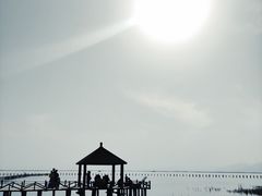 -哈素海