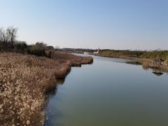 -卤阳湖国家湿地公园