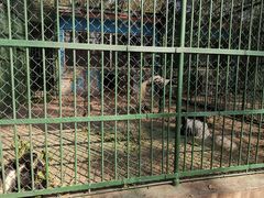 -秦皇岛野生动物园