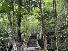 -七仙岭温泉国家森林公园