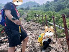 -大岭沟猕猴桃谷风景区
