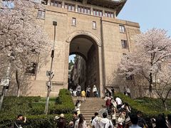 -武汉大学-樱园