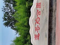 -莲花池公园
