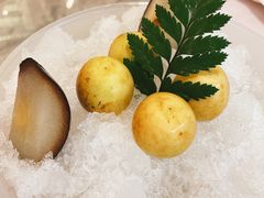 东北冻梨-喜鼎海胆水饺(平安金融中心店)