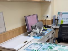 -瑞派宠物医院·24h·骨外科·皮肤科·全科宠物医疗转诊中心(沈阳浑南院)