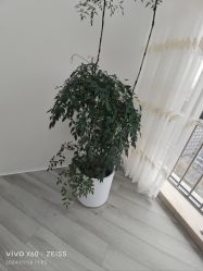 -HEYAN荷妍专业脱毛连锁机构