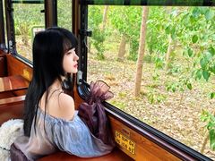 -合肥滨湖国家森林公园