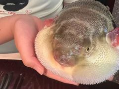 -永安鱼庄·镇江菜(东吴路店)