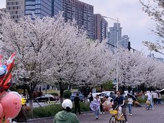-钱塘江