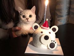 -巴黎贝甜·生日蛋糕(杭州文二路店)